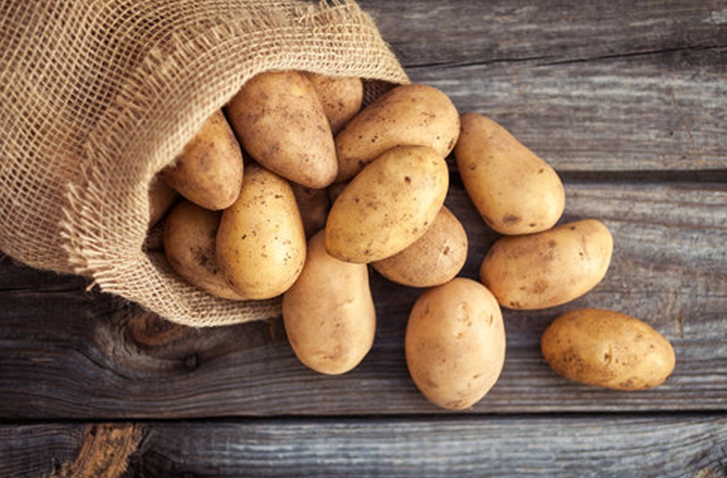 Potato