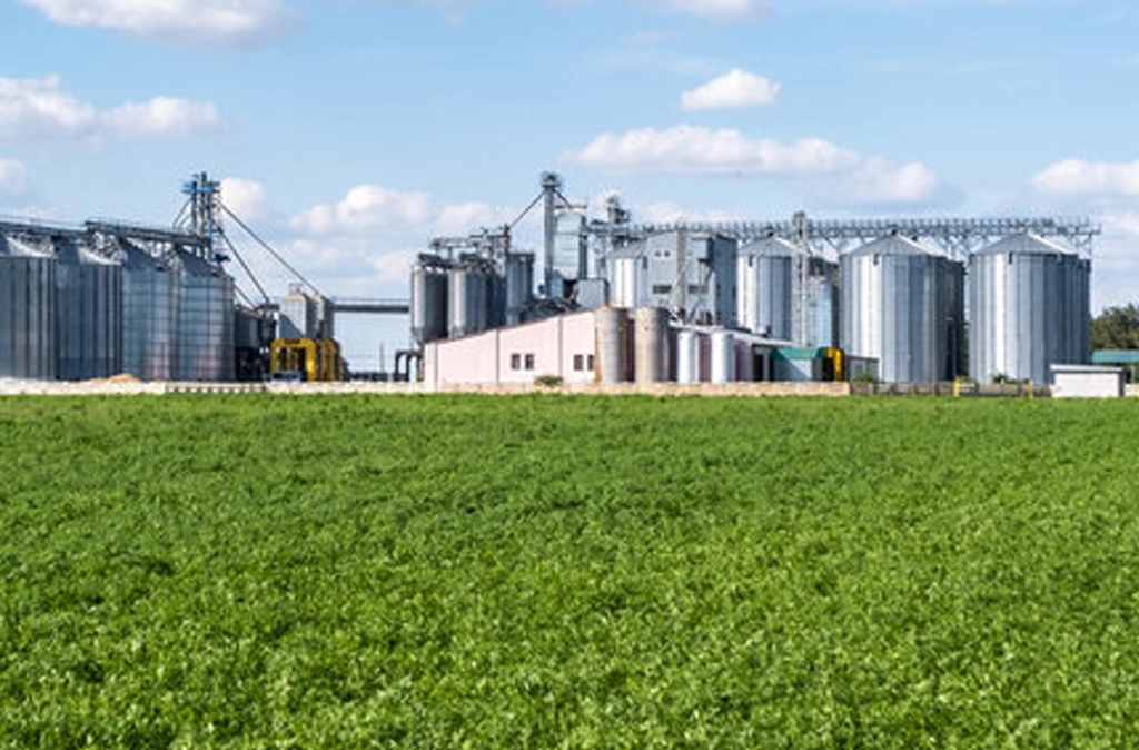 Processed Agro Products